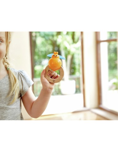 Ensemble de percussions de la nature - Hape