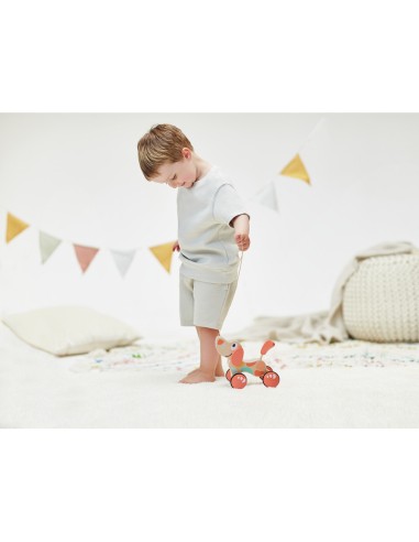 Chien Puppy Édition Limitée - Hape