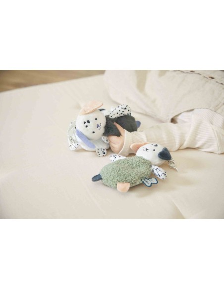 Set de 3 doudous sensoriels chiens, à caresser - Dès la naissance - Kaloo
