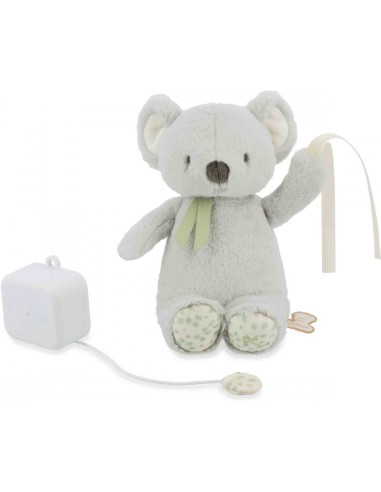 Peluche musicale koala - Pour bébé dès la naissance - Kaloo