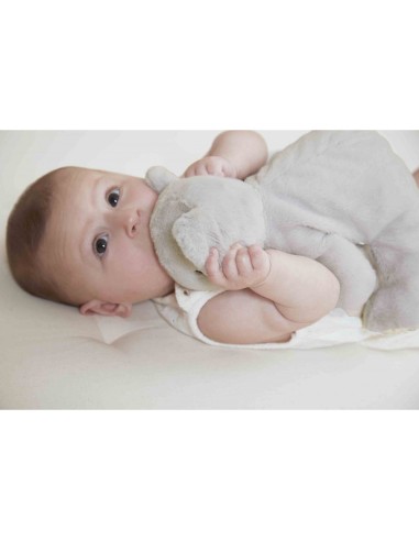 Peluche lestée koala - Pour bébé dès 3 mois - Kaloo