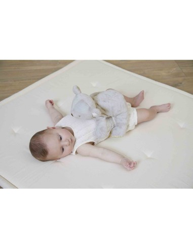 Peluche lestée koala - Pour bébé dès 3 mois - Kaloo