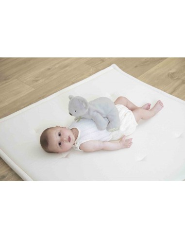 Peluche lestée koala - Pour bébé dès 3 mois - Kaloo