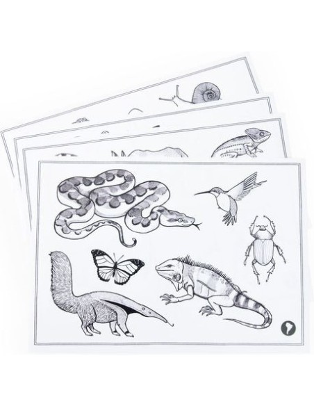 Tablette lumineuse Kidywolf Tout autour du monde - Moulin Roty