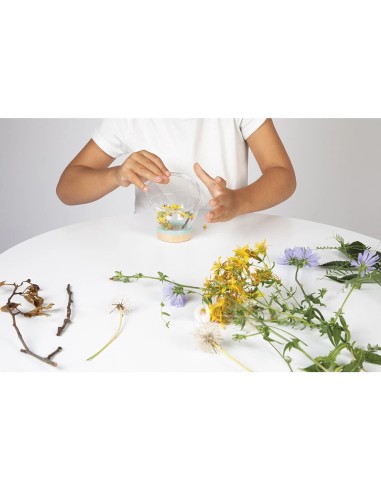 Verre d'observation : Draisiennes et plein air - Janod