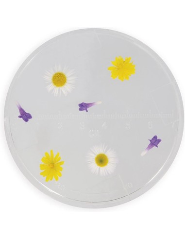 Verre d'observation : Draisiennes et plein air - Janod