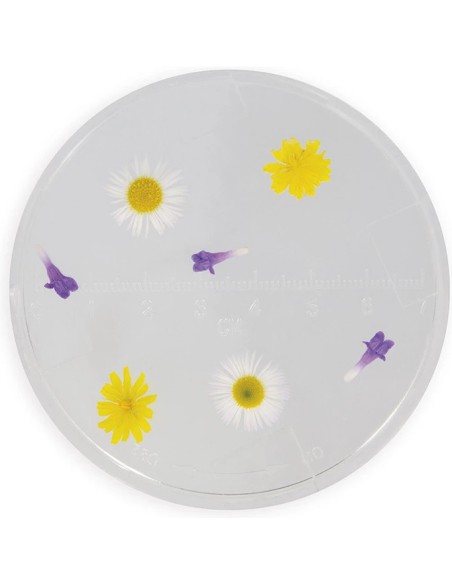 Verre d'observation : Draisiennes et plein air - Janod