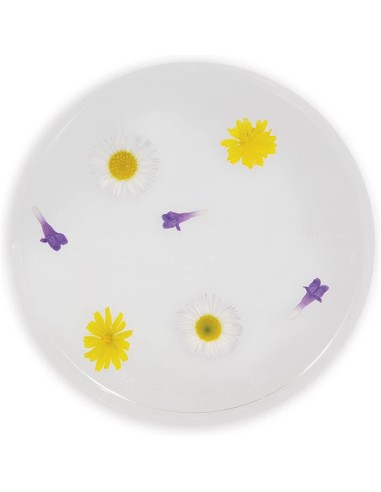 Verre d'observation : Draisiennes et plein air - Janod