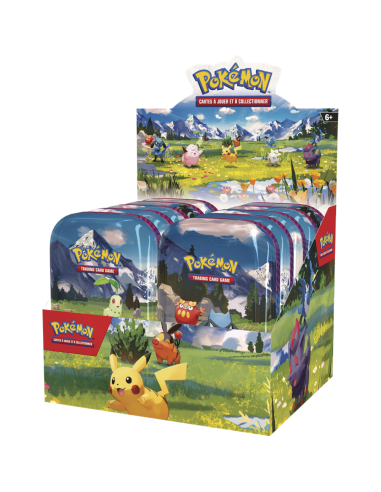 Mini Tin Pokémon Héros Transcendants