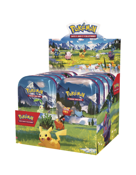 Mini Tin Pokémon Héros Transcendants