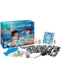 Le Cyanotype - Sentosphère 2