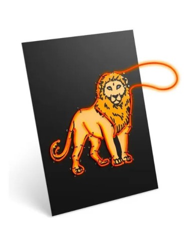 Kidyneon – - Kidywolf