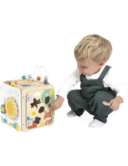 Maxi Cube Multi-Activités Pure : Cubes & Pyrami - Janod