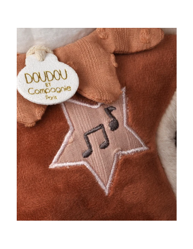 Boite a musique mina doudou et compagnie