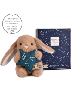 Doudou astro verseau doudou et compagnie