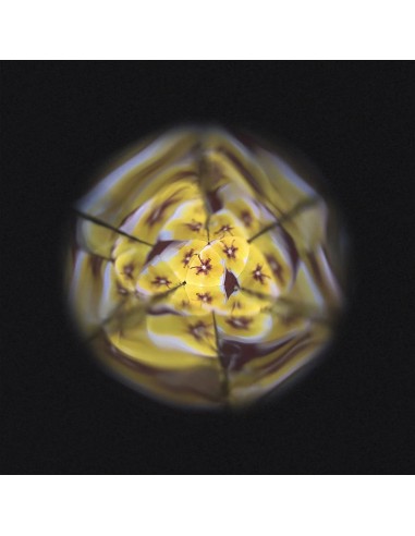 Kaleidoscope de Fleurs : Sports & Activités d'extérieur - Janod