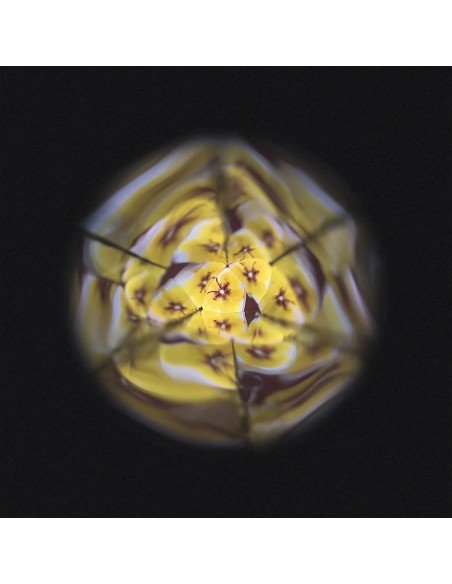 Kaleidoscope de Fleurs : Sports & Activités d'extérieur - Janod