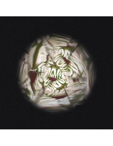 Kaleidoscope de Fleurs : Sports & Activités d'extérieur - Janod