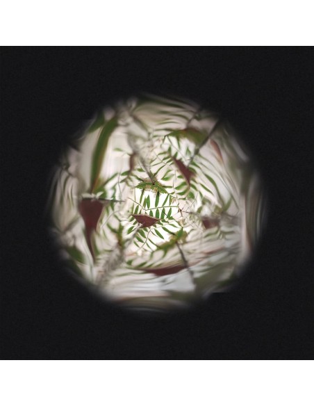 Kaleidoscope de Fleurs : Sports & Activités d'extérieur - Janod