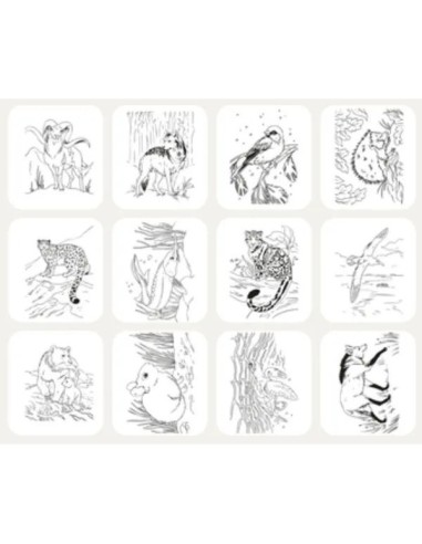 Kidydraw Pad – Tablette lumineuse Kidydraw Pad Animaux Kidywolf