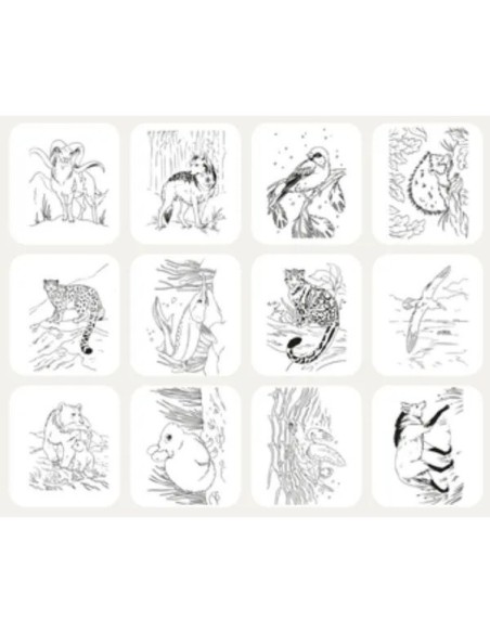 Kidydraw Pad – Tablette lumineuse Kidydraw Pad Animaux Kidywolf
