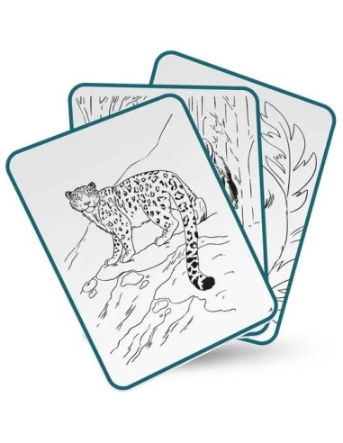 Kidydraw Pad – Tablette lumineuse Kidydraw Pad Animaux Kidywolf