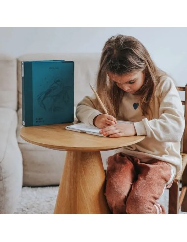 Kidydraw Pad – Tablette lumineuse Kidydraw Pad Animaux Kidywolf