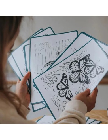 Kidydraw Pad – Tablette lumineuse Kidydraw Pad Animaux Kidywolf