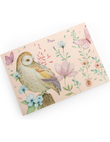 Carnet à dessin - Les Rosalies - Moulin Roty
