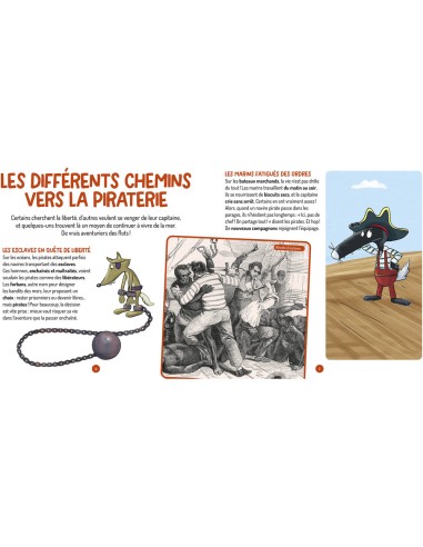 Les questions de loup - Les pirates - Livres enfants - Auzou