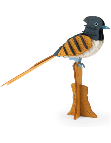 Puzzle 3D Gobe-mouche de paradis - Tout autour du monde - Moulin Roty