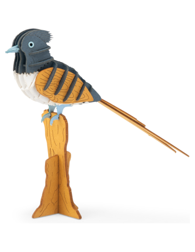 Puzzle 3D Gobe-mouche de paradis - Tout autour du monde - Moulin Roty
