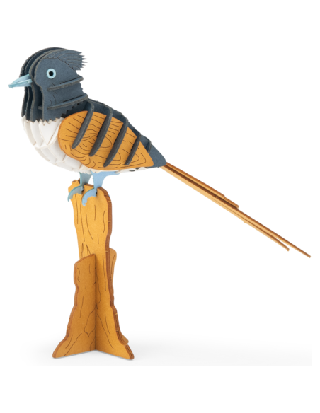 Puzzle 3D Gobe-mouche de paradis - Tout autour du monde - Moulin Roty