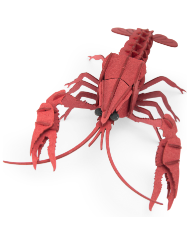 Puzzle 3D Écrevisse - Tout autour du monde - Moulin Roty