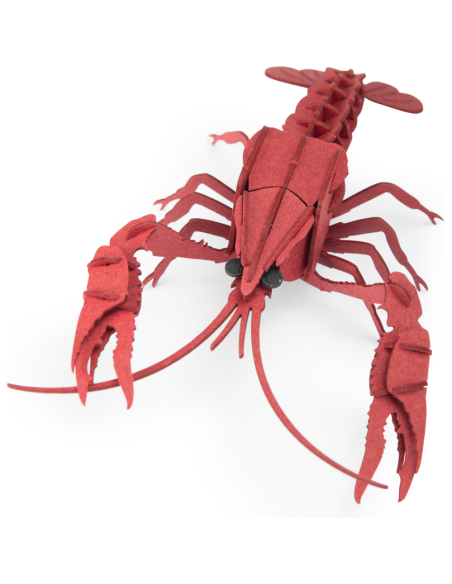 Puzzle 3D Écrevisse - Tout autour du monde - Moulin Roty