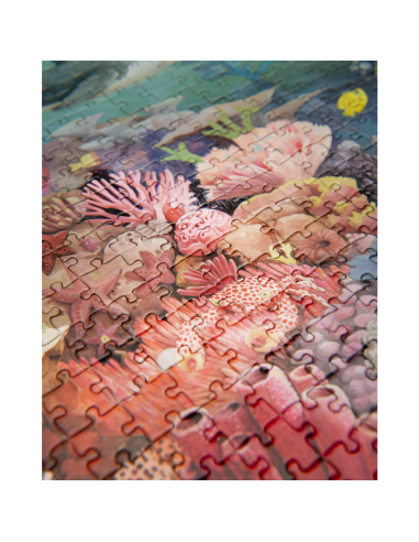 Puzzle Le récif corallien 1000 pcs - Tout autour du monde - Moulin Roty - Tout autour du monde