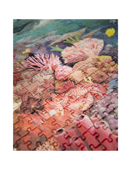 Puzzle Le récif corallien 1000 pcs - Tout autour du monde - Moulin Roty - Tout autour du monde