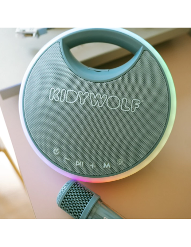 Kidykaraoke Enceinte Karaoke avec micros bleu - Kidywolf