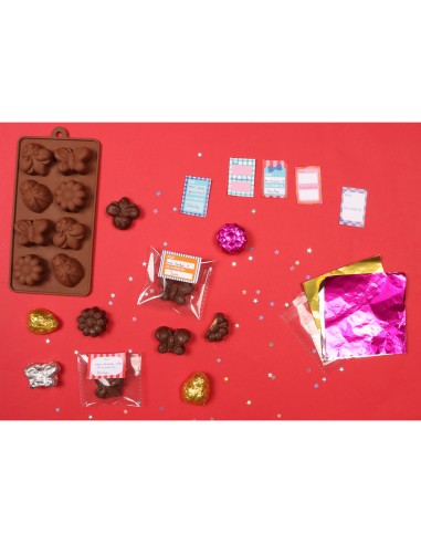 Ma fabrique de chocolats - Activités et loisirs créatifs - Auzou