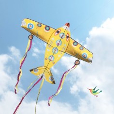 Cerf volant pour enfant - Maxi Plane - Djeco 2