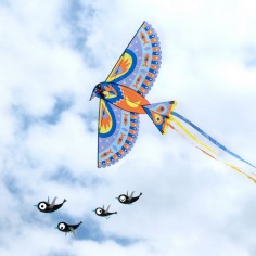 Cerf-volant oiseau pour enfant - Maxi Bird - Djeco 2