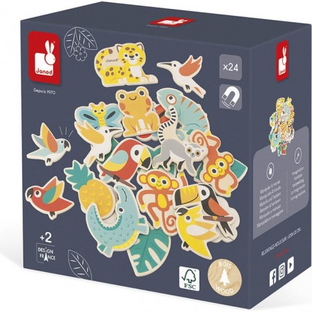 Magnets tropicaux 24 pièces Tropik - Janod