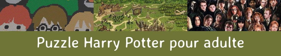 Puzzle Harry Potter pour adulte