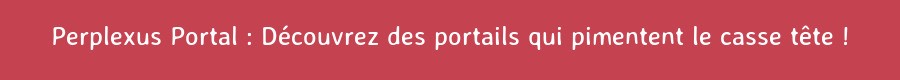 Perplexus Portal : Découvrez des portails qui pimentent le casse tête !