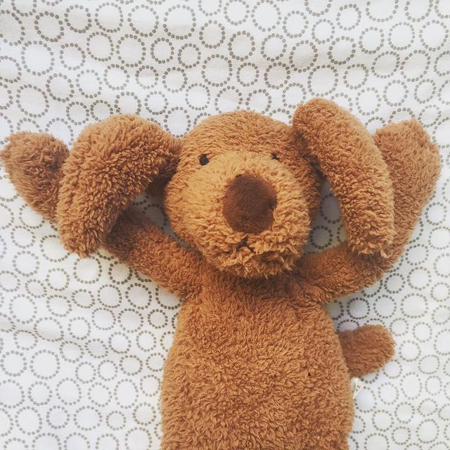 chien jellycat